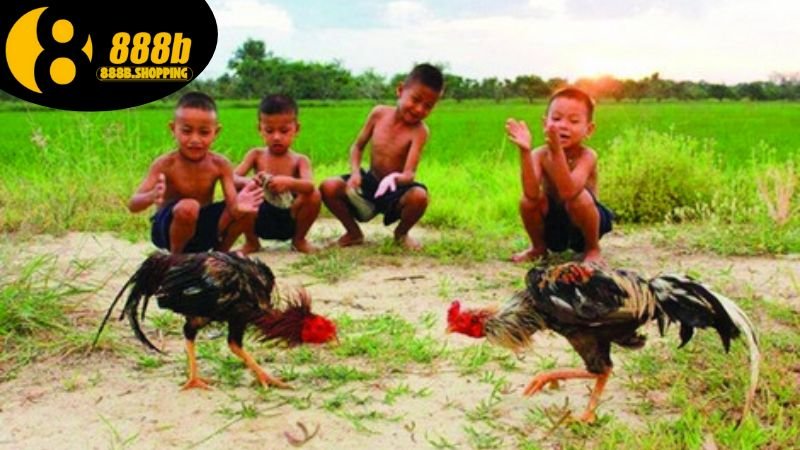 Đá Gà Ao Làng - Khám Phá Bản Sắc Văn Hóa Đặc Trưng Việt Nam 2 da-ga-ao-lang-1
