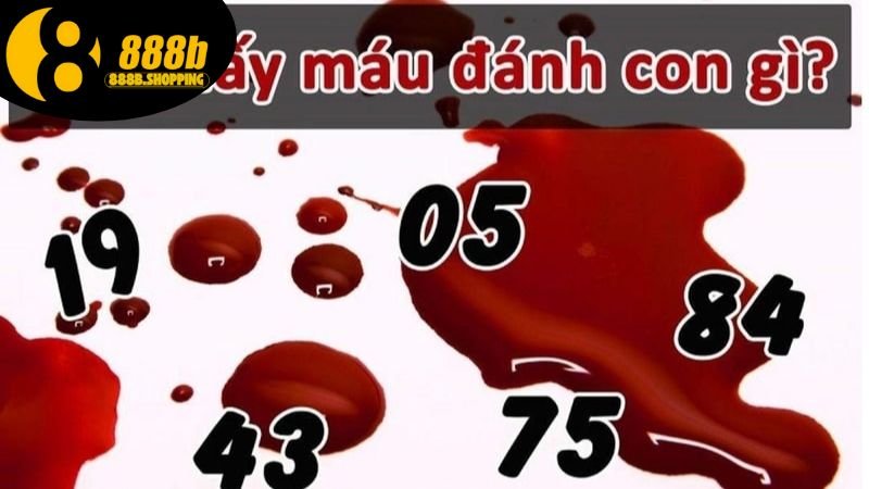 Mơ Thấy Máu - Khám Phá Ý Nghĩa Và Con Số May Mắn Liên Quan 3 mo-thay-mau-2